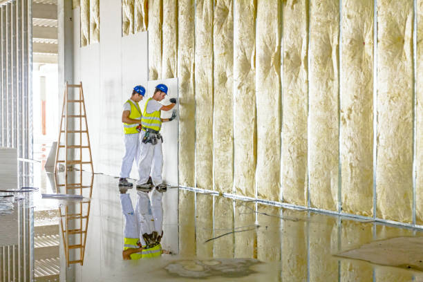 Best Eco-Friendly or Green Insulation Solutions  in Angwin, CA